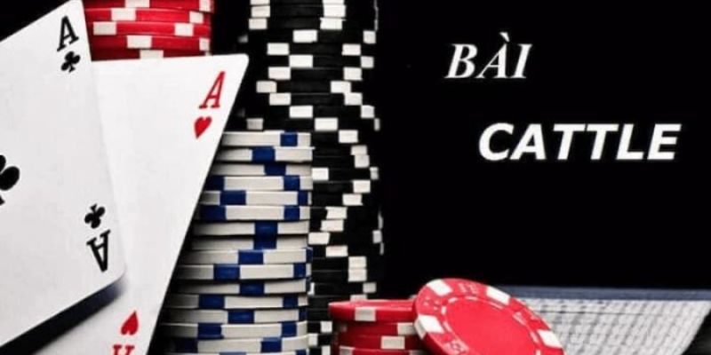 Catte B52 – Trải Nghiệm Game Bài Đỉnh Cao Tại B52